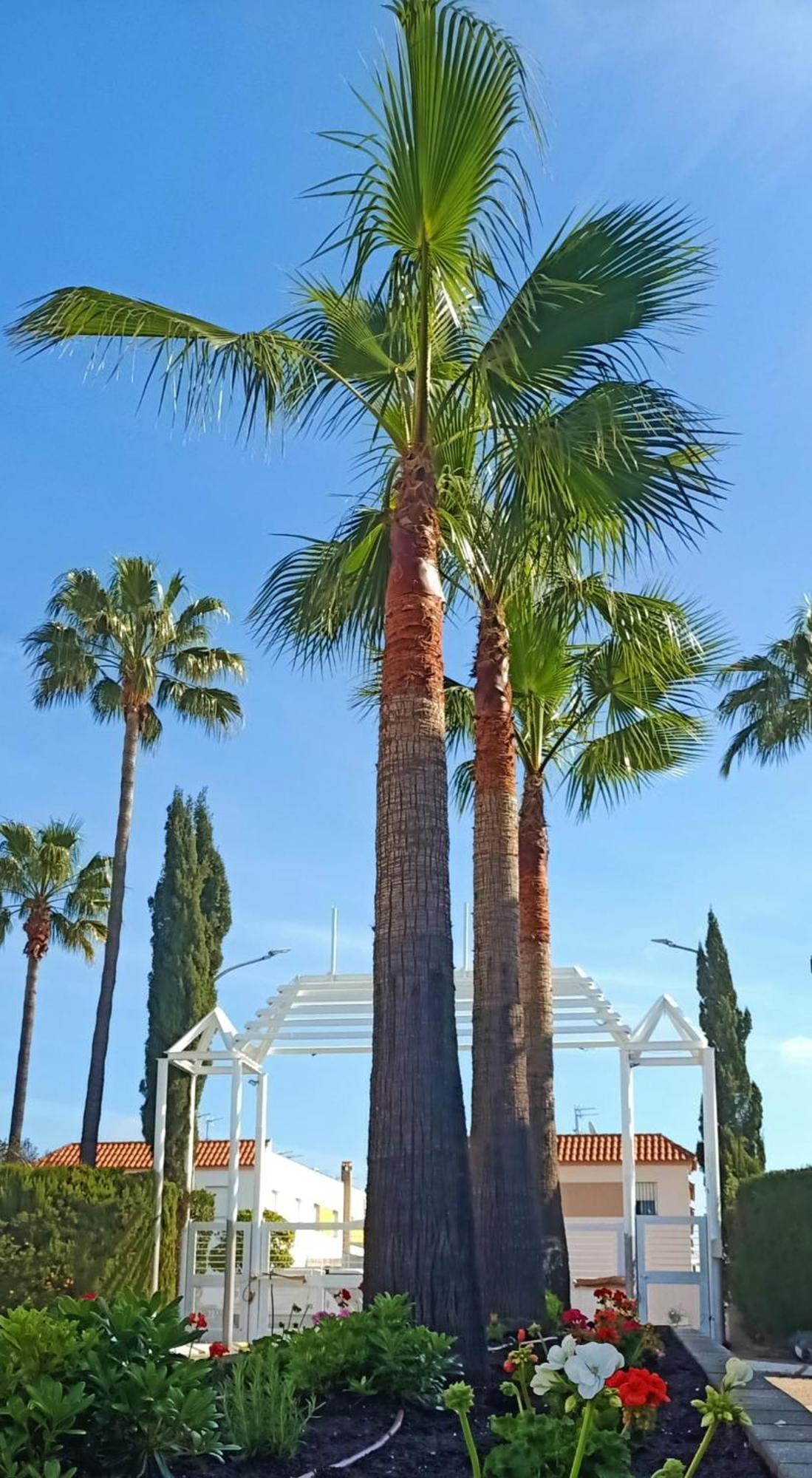 Hospedium Hotel Blu Torre De Sevilla Torre de la Reina Zewnętrze zdjęcie